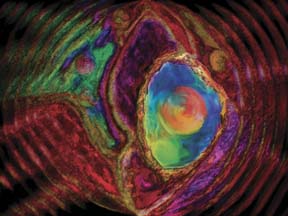 Abstract representation of ideas disseminating from Everything IS, a visual and philosophical theory of everything by Sarah Curtiss